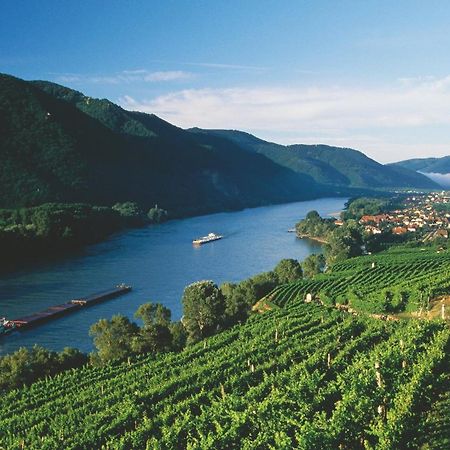 In Der Wachau Weissenkirchen in der Wachau Exterior foto